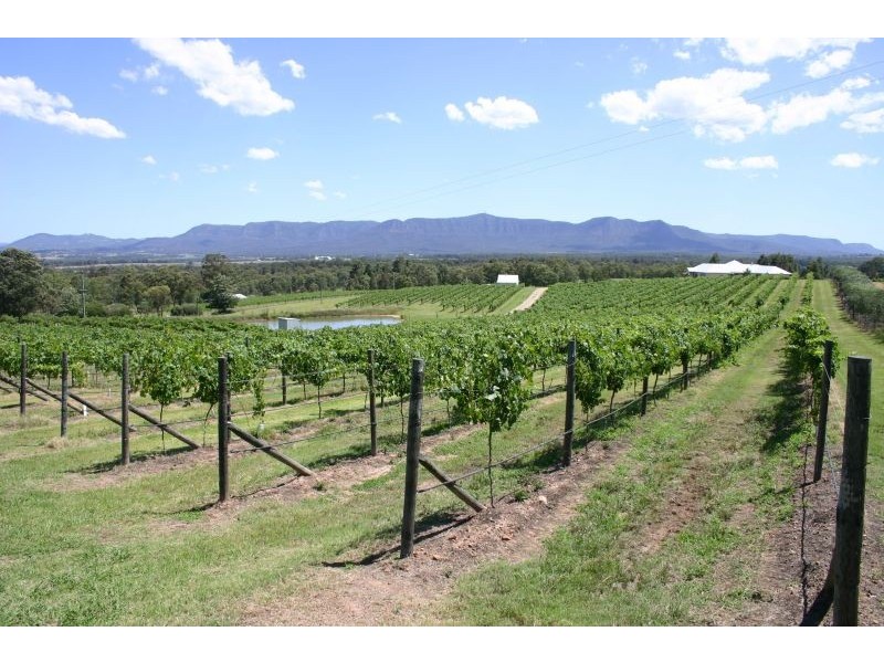 240 Old North Road, Pokolbin NSW 2320