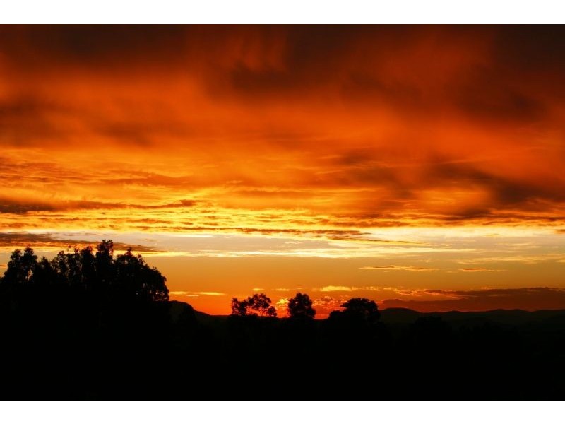 240 Old North Road, Pokolbin NSW 2320