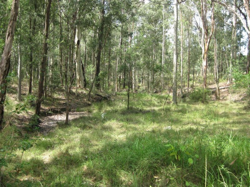 Lot 22 Wallaby Gully Road, Ellalong NSW 2325