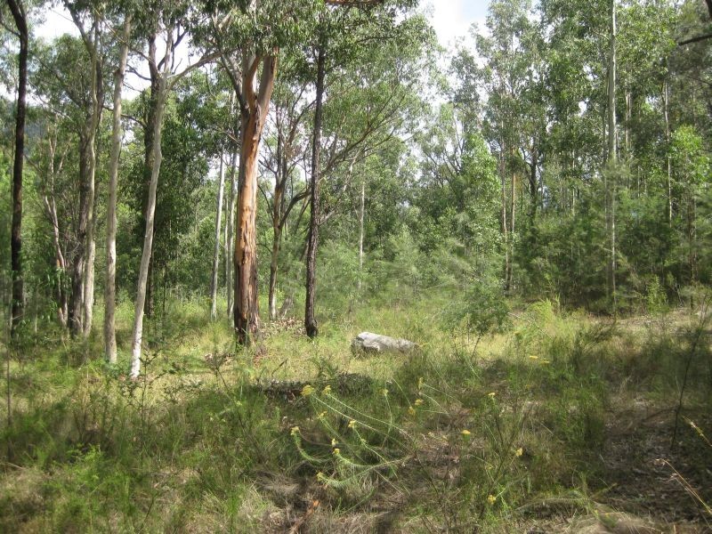 Lot 22 Wallaby Gully Road, Ellalong NSW 2325
