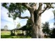 1297 Broke Road, Broke NSW 2330