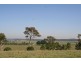 Lot 5 Cessnock Road, Gillieston Heights NSW 2321