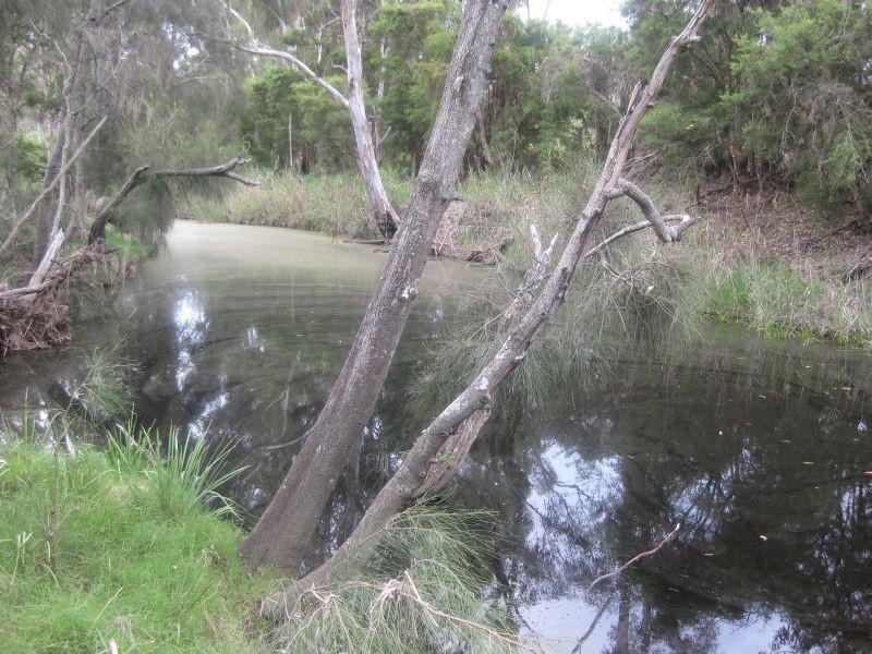 Lot 2 Brickmans Lane, Lovedale NSW 2325