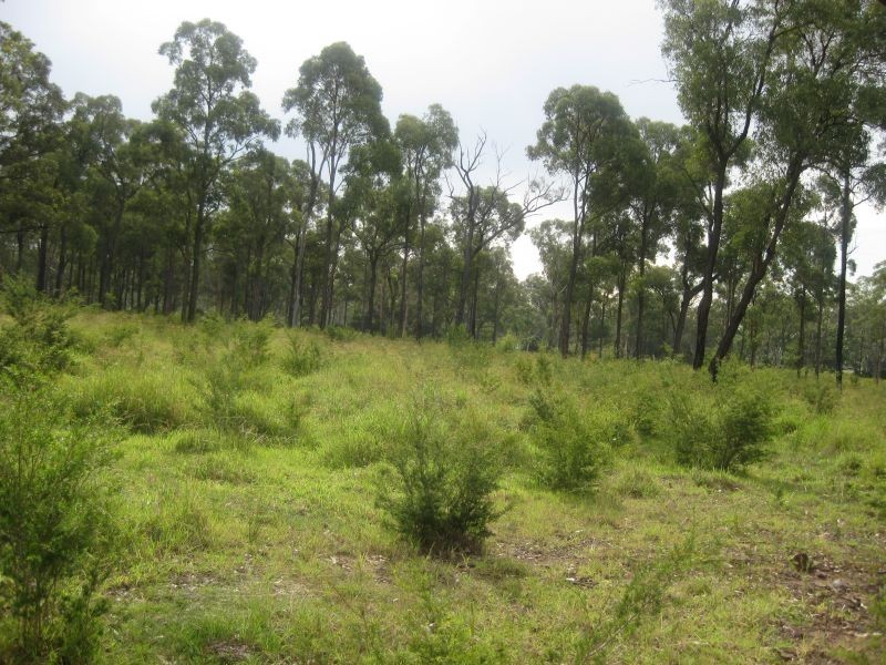 Lot 2 Brickmans Lane, Lovedale NSW 2325