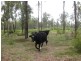 Lot 2 Brickmans Lane, Lovedale NSW 2325