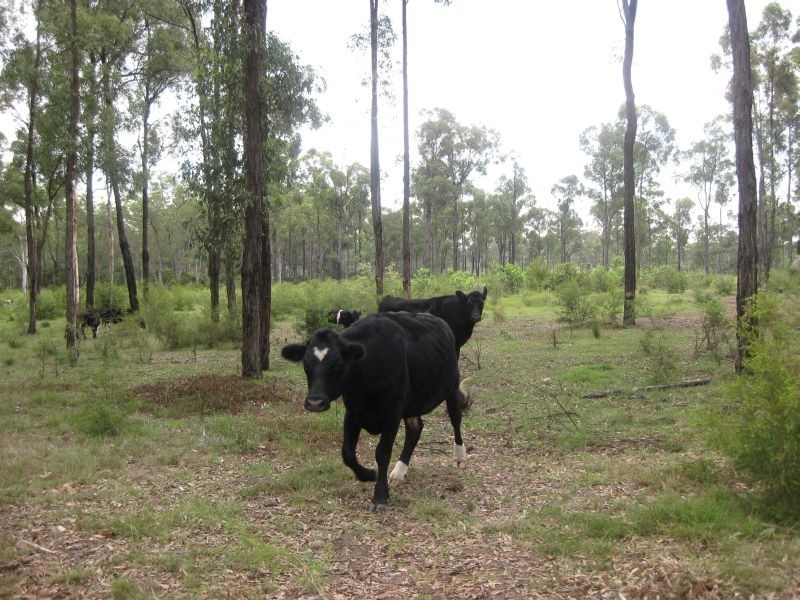 Lot 2 Brickmans Lane, Lovedale NSW 2325
