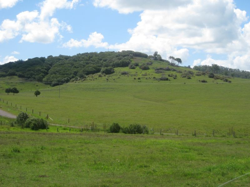 184 Melville Ford Road, Melville NSW 2320