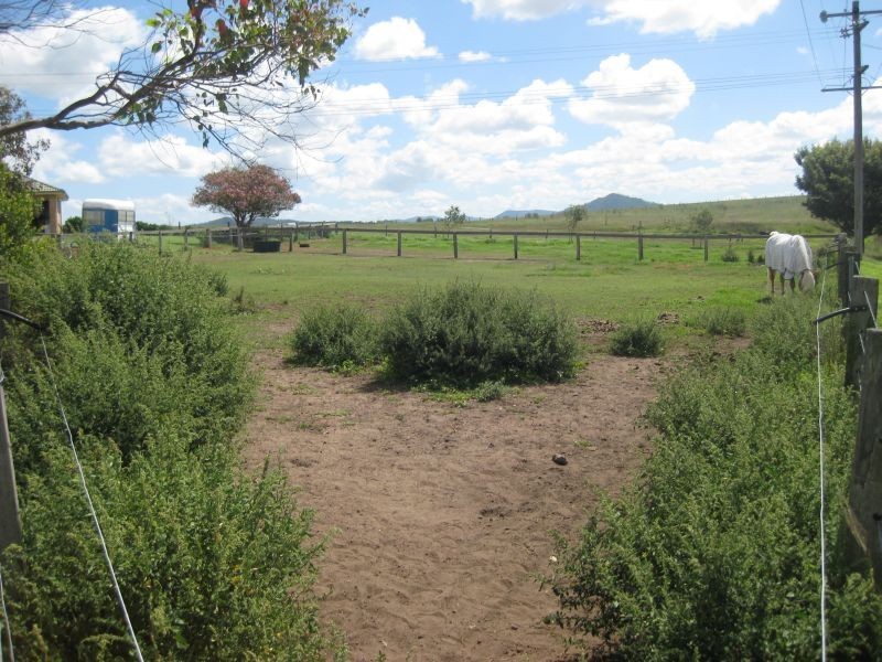 184 Melville Ford Road,, Melville NSW 2320