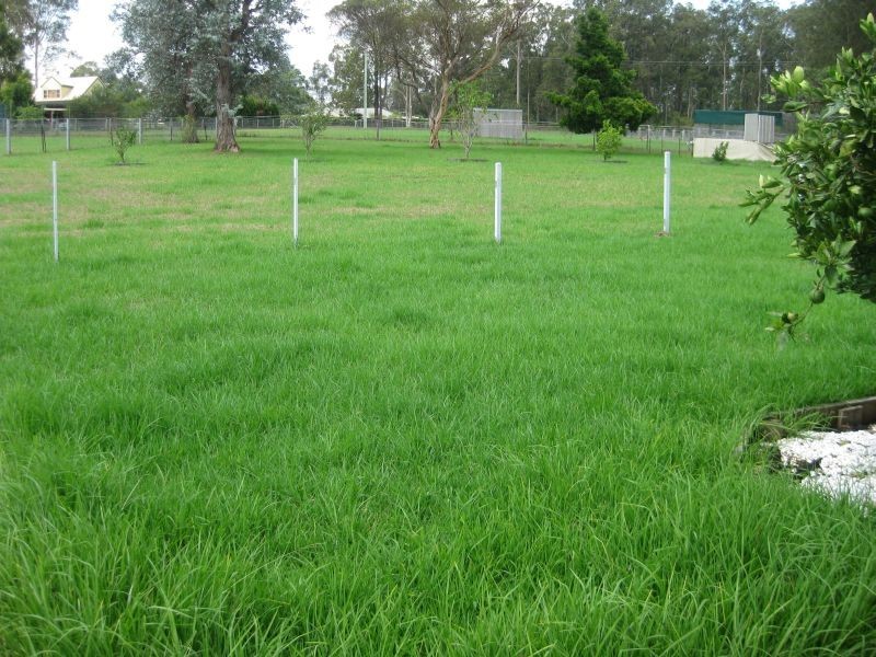 205 Quorrobolong Road, Kitchener NSW 2325