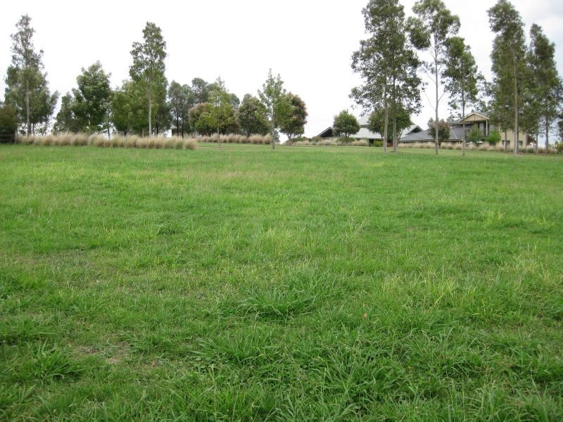 3 (C93) The Jacarandas, Rothbury NSW 2320