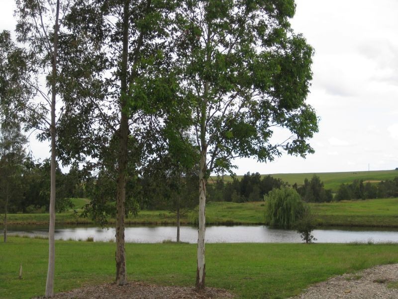 3 (C93) The Jacarandas, Rothbury NSW 2320