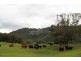 Mount View NSW 2325