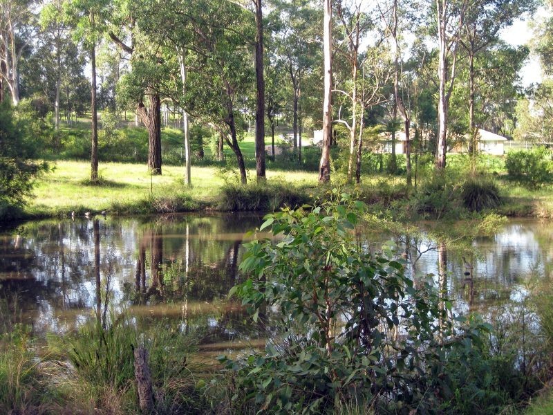Sawyers Gully NSW 2326