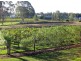 Lot 31 Kelman Estate, Pokolbin NSW 2320