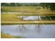 251 Talga Road, Lovedale NSW 2325