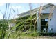 251 Talga Road, Lovedale NSW 2325