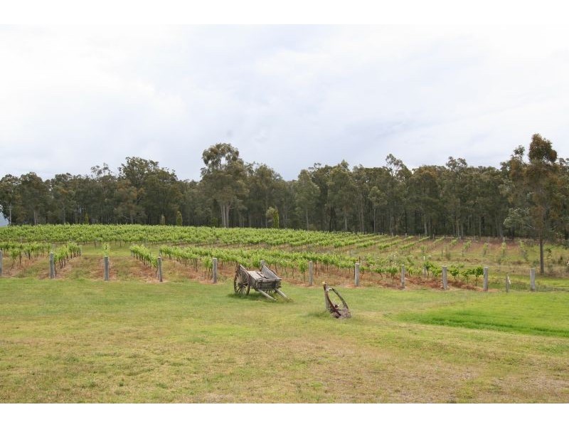 26 Lodge Road, Lovedale NSW 2325