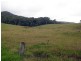 Mount Vincent NSW 2323
