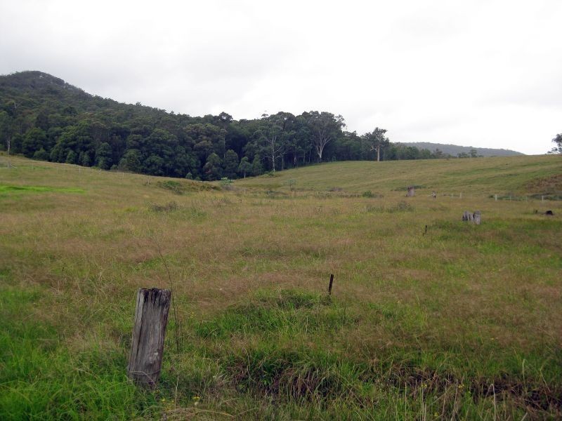 Mount Vincent NSW 2323