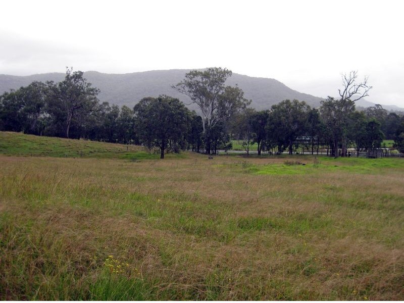 Mount Vincent NSW 2323