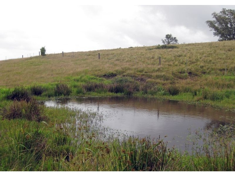 1199 Leggetts Drive, Mount Vincent NSW 2323