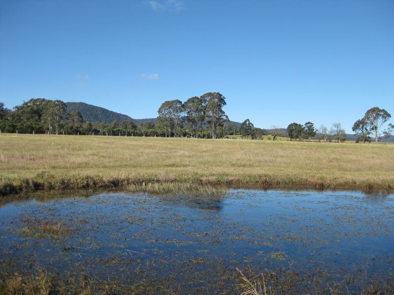Level Lot  101 Wallis Creek Lane, Mulbring NSW 2323