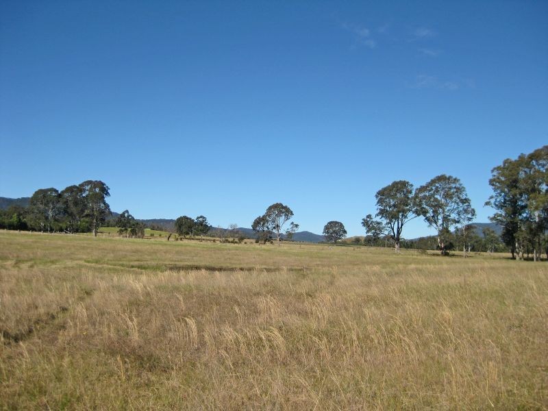Level Lot  101 Wallis Creek Lane, Mulbring NSW 2323