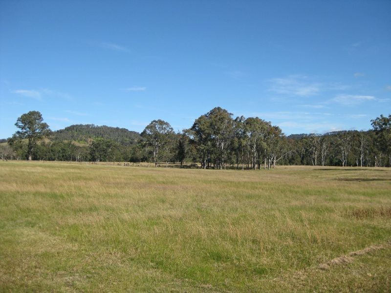 Level Lot  101 Wallis Creek Lane, Mulbring NSW 2323