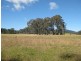 Level Lot  101 Wallis Creek Lane, Mulbring NSW 2323