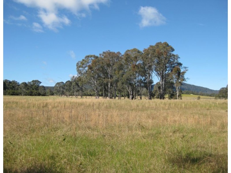 Level Lot  101 Wallis Creek Lane, Mulbring NSW 2323