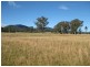 Level Lot  101 Wallis Creek Lane, Mulbring NSW 2323