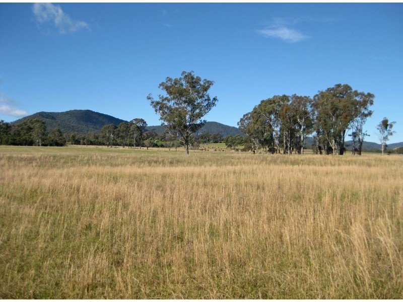 Level Lot  101 Wallis Creek Lane, Mulbring NSW 2323