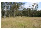 Level Lot  101 Wallis Creek Lane, Mulbring NSW 2323