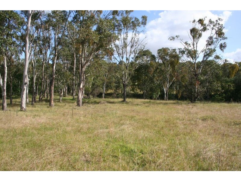 Level Lot  101 Wallis Creek Lane, Mulbring NSW 2323