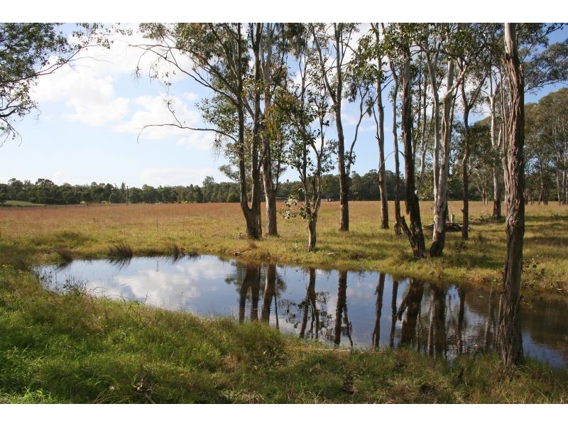 Level Lot  101 Wallis Creek Lane, Mulbring NSW 2323