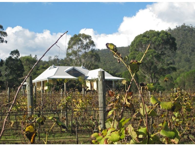 738 Wollombi Road, Broke NSW 2330