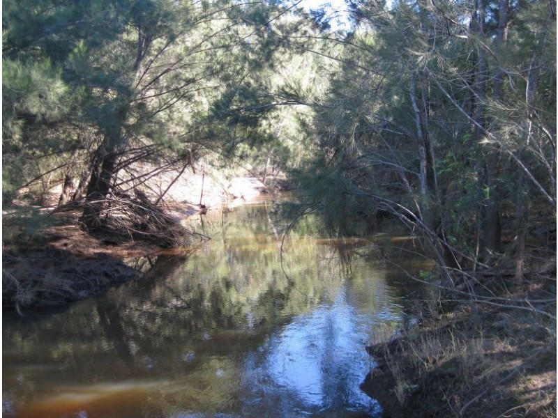 738 Wollombi Road, Broke NSW 2330