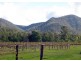 738 Wollombi Road, Broke NSW 2330
