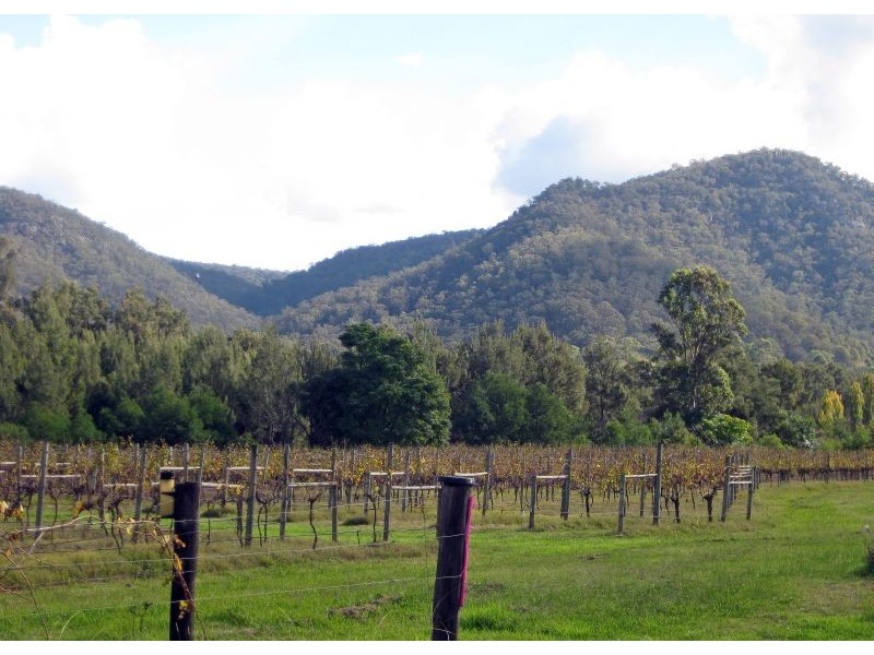 738 Wollombi Road, Broke NSW 2330