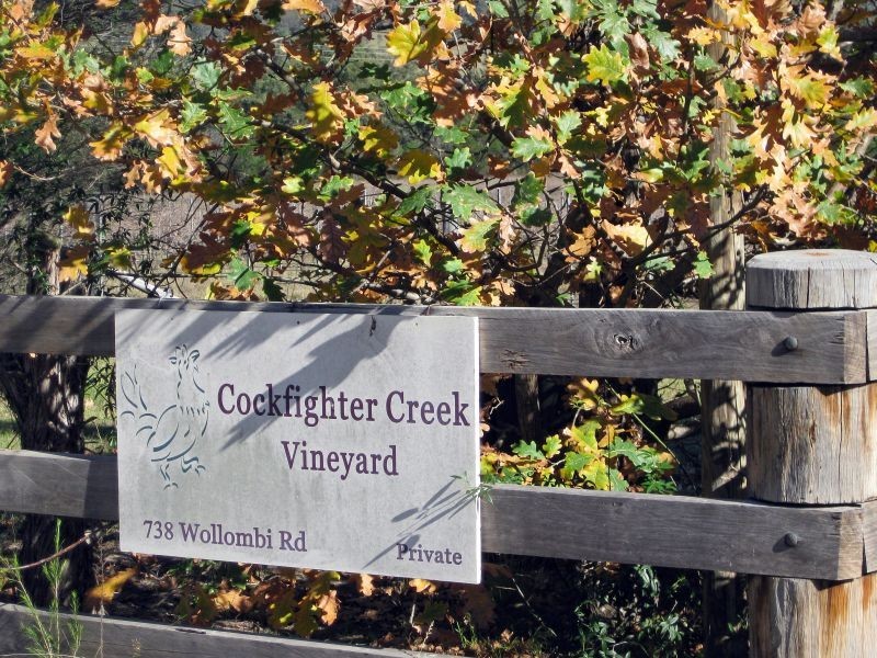 738 Wollombi Road, Broke NSW 2330