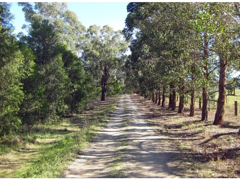 738 Wollombi Road, Broke NSW 2330