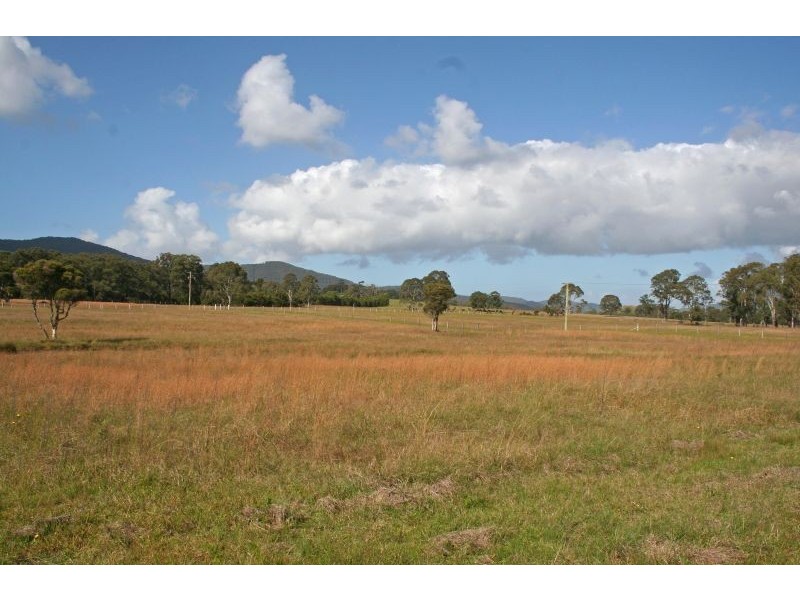 100 Wallis Creek Lane, Mulbring NSW 2323