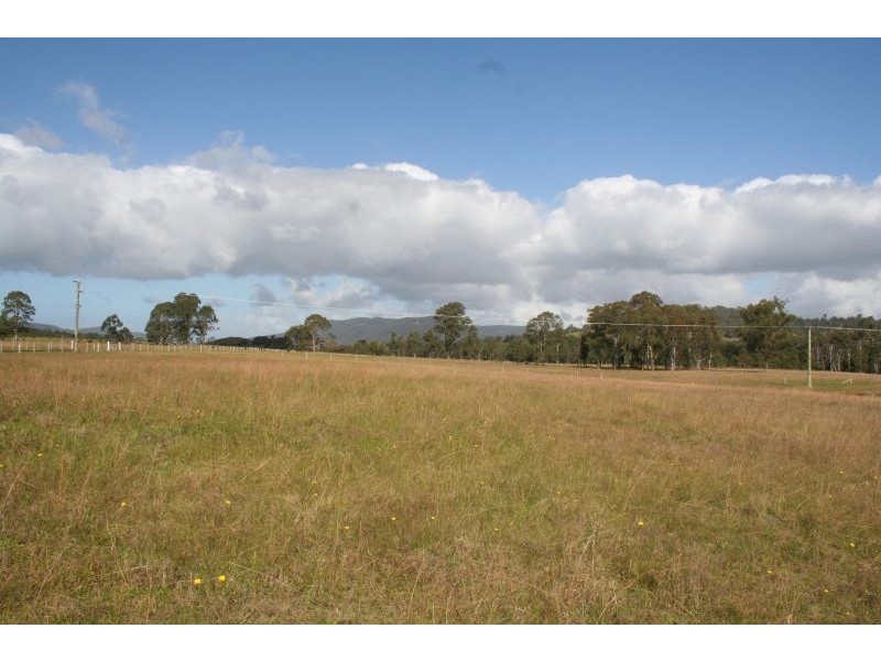 100 Wallis Creek Lane, Mulbring NSW 2323