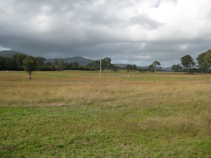 100 Wallis Creek Lane, Mulbring NSW 2323