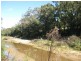 100 Wallis Creek Lane, Mulbring NSW 2323