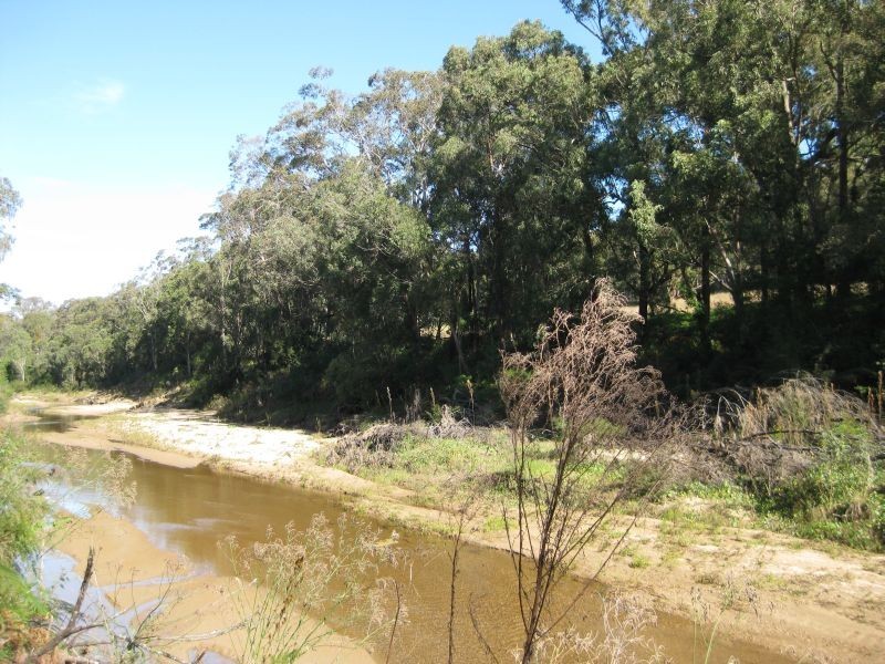 100 Wallis Creek Lane, Mulbring NSW 2323