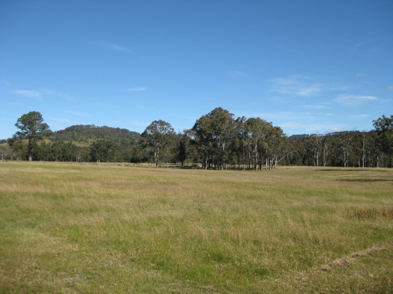 100 Wallis Creek Lane, Mulbring NSW 2323