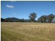 100 Wallis Creek Lane, Mulbring NSW 2323