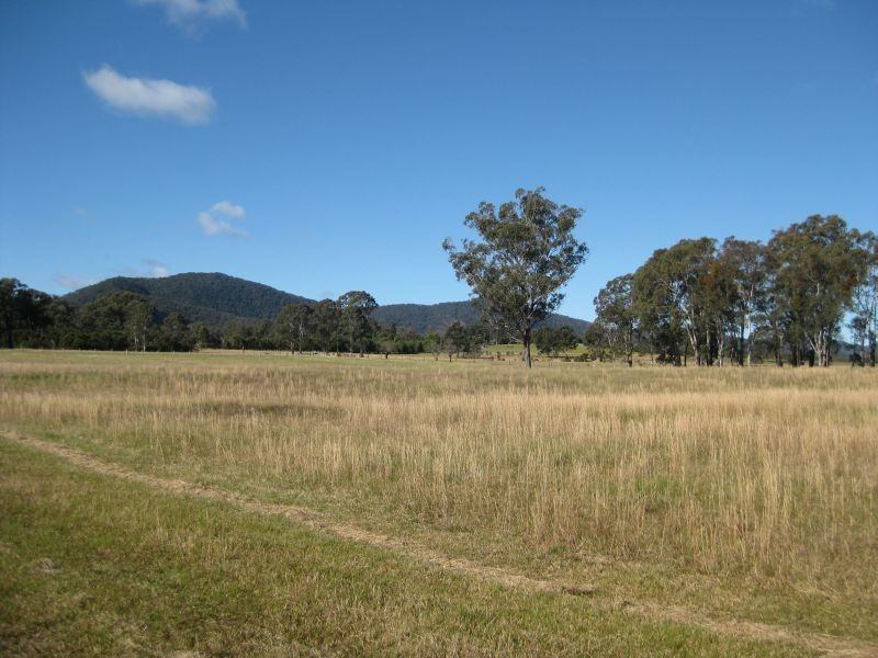 100 Wallis Creek Lane, Mulbring NSW 2323