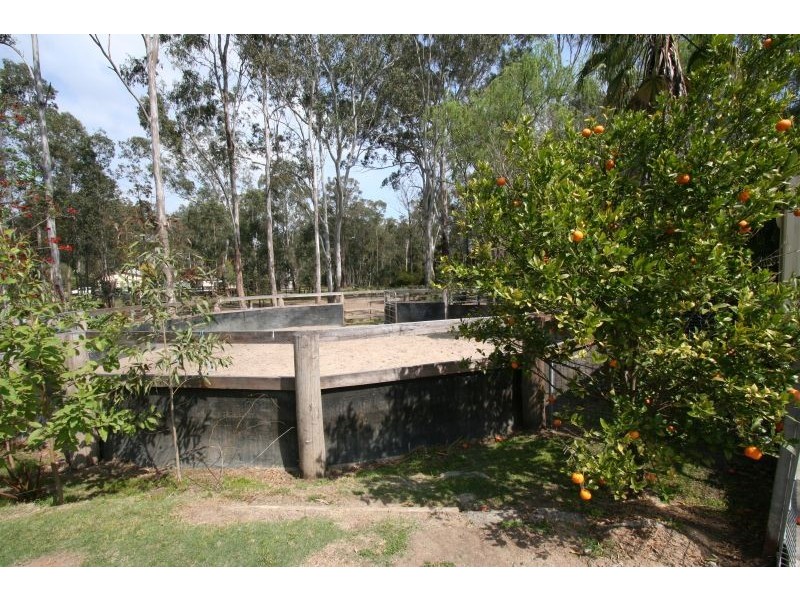 16-18 Ellalong Road, Pelton NSW 2325